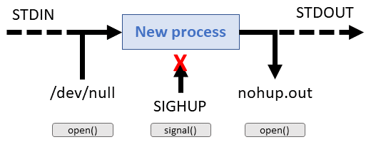 nohup rewiring a process